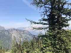 Maple Heather Trail, WA